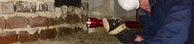 Pest control technician inspecting a crawl space for ant activity and entry points in Lakeland, FL