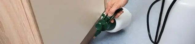 Bed bug exterminator treating baseboards and cracks with targeted spray in Lakeland, FL