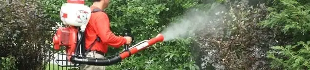 Mosquito control technician fogging shrubs and landscaping for mosquito treatment in Lakeland, FL