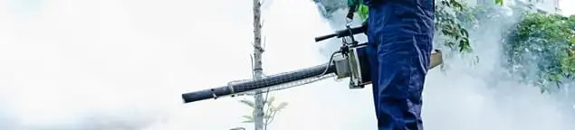 Pest control technician fogging an outdoor area for insect control in Lakeland, FL