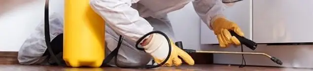 Roach exterminator treating cracks and crevices along kitchen baseboards in Lakeland, FL